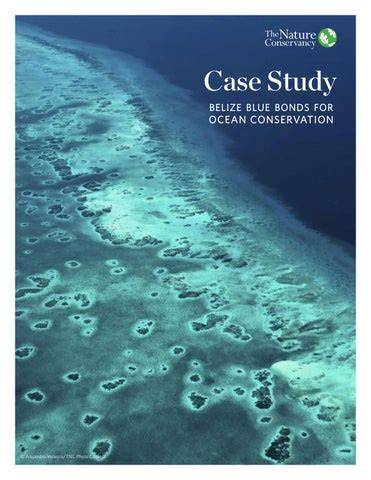 Belize Debt Case Study - The Nature Conservancy - raincitystudios.com