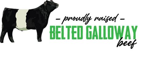 BELTIE BEEF GLBGA