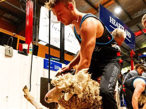 Ben Rowson Jones: From Beginner to Global Shearing - British Wool - raincitystudios.com