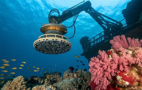 Beneath the Waves: The Science and Technology of Deep-Sea Mining - raincitystudios.com