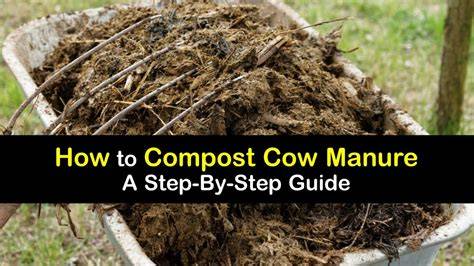Benefits And How To Make Cow Manure Compost - Garvillo - raincitystudios.com