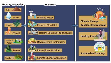 Benefits of Healthy Watersheds | US EPA - raincitystudios.com