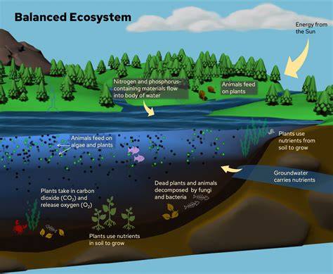 Benefits of Mammals in Maintaining Ecosystem Balance - raincitystudios.com