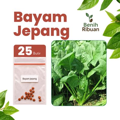 BENIH RIBUAN - Benih Cabai Keriting Hibrida Unggul Benih Cabai … - raincitystudios.com