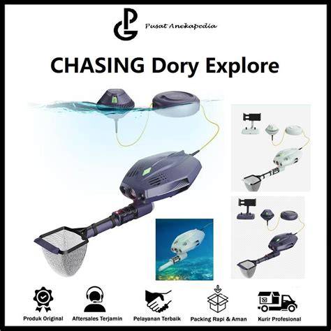 Beranda – Chasing Dory - raincitystudios.com