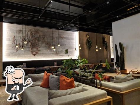 bermvda citos - elchoricharrua.com