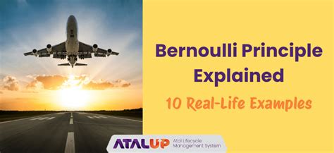 Bernoulli Principle Explained with 10 Real-Life Examples - wintechmobiles.com