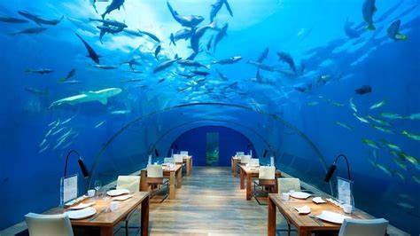 Bersiaplah Menikmati Sensasi Hotel Bawah Laut - raincitystudios.com