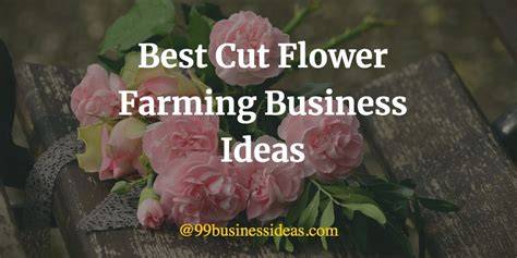 Best 15 Cut Flower Farming Business Ideas - raincitystudios.com