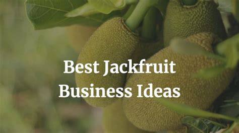 Best 15 Jackfruit Business Ideas With Good Profit - MUVSI - raincitystudios.com