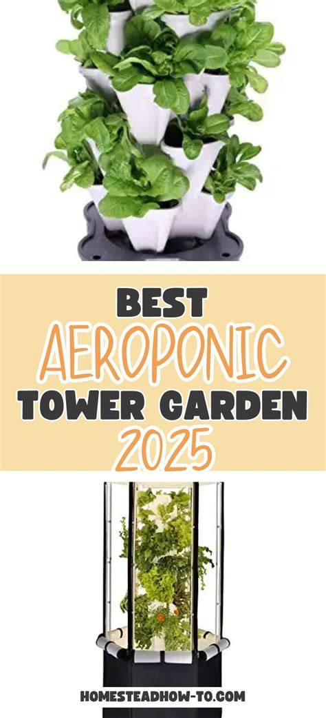 Best Aeroponic Tower Garden 2025 - homesteadhow … - raincitystudios.com