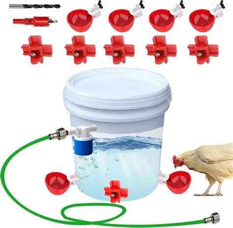 Best Automatic Watering Solutions for Chickens in 2026 - raincitystudios.com