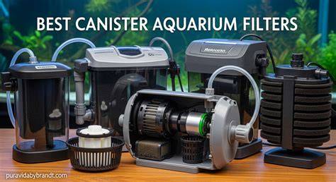 Best Canister Filters Of 2026 [Tested & Reviewed] - raincitystudios.com