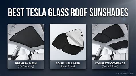 Best Car Sunshades of 2026, Tested - Car and … - raincitystudios.com