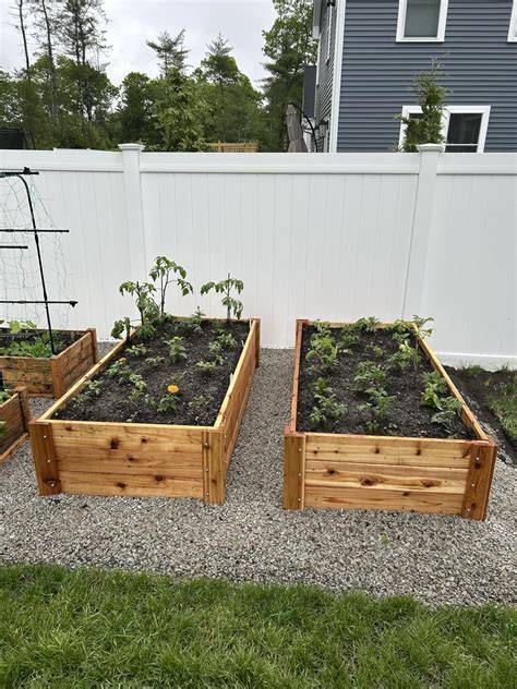 Best Choice for Cedar for Raised Garden Beds - Comparing 4 materials - raincitystudios.com