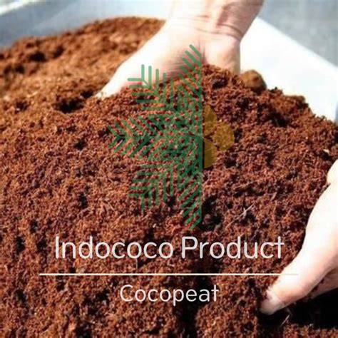 Best Coco Peat Suppliers - Elevated Plant Growth - raincitystudios.com