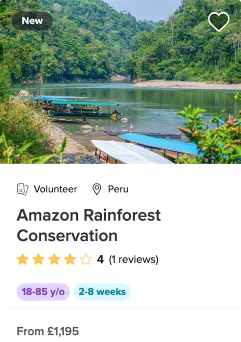 Best Countries for Conservation Volunteer Programs - raincitystudios.com