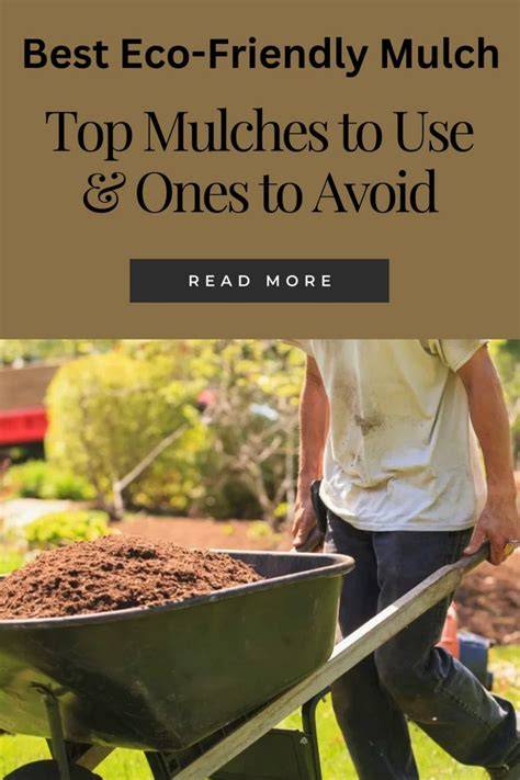 Best Eco-Friendly Mulch - Gardening Know How - raincitystudios.com