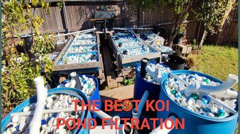 Best Filtration for Koi Pond: Advanced Multi-Stage Systems for Premium ... - raincitystudios.com