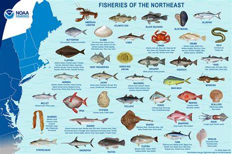 Best Fish Species & Methods for Successful Fish … - raincitystudios.com