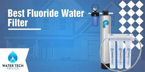Best Fluoride Water Filter | Catalytic Bone Char Carbon - raincitystudios.com