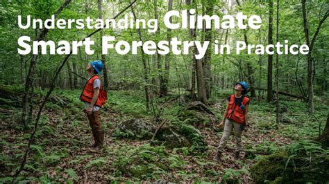 Best Forest Management Practices | Penn State … - muktibox.com