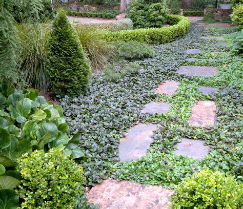 Best Ground Cover Plants for Erosionproofing Gardens - raincitystudios.com