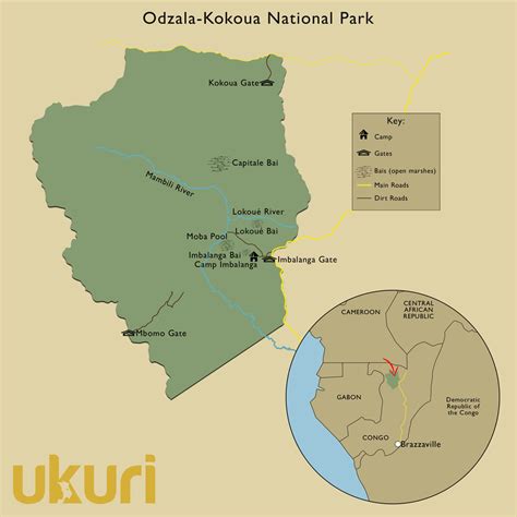 Best Guide to Odzala Kokoua National Park - raincitystudios.com