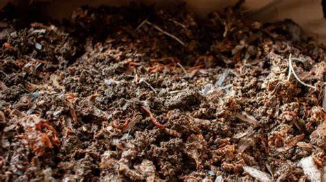 Best Homemade Worm Bedding (Ultimate Worm … - raincitystudios.com