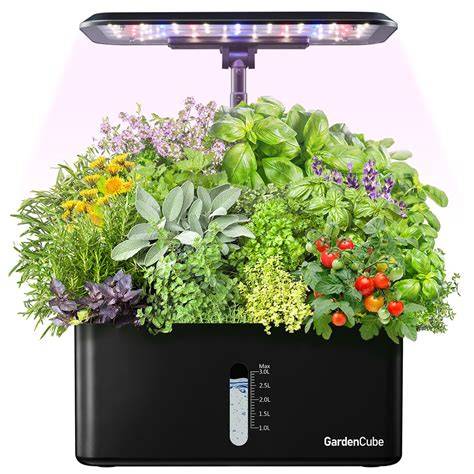 Best Indoor Garden Kits for Herbs and Greens - raincitystudios.com