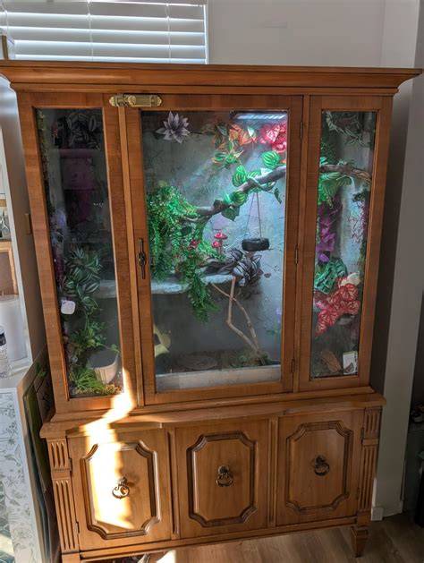 Best Indoor-Garden Kits | The Strategist - New York … - raincitystudios.com
