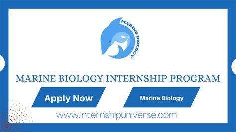 Best Internships for Marine Biology Students - SigmaOS - raincitystudios.com