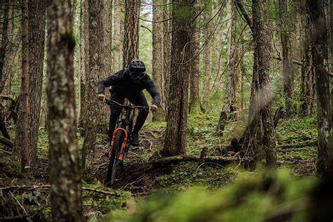Best mountain biking trails in Ganaraska Forest | AllTrails - raincitystudios.com