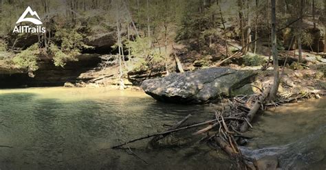 Best mountain biking trails in William B Bankhead National Forest ... - raincitystudios.com