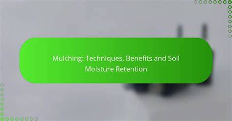Best Mulching Methods to Uplift Soil Moisture Retention - raincitystudios.com