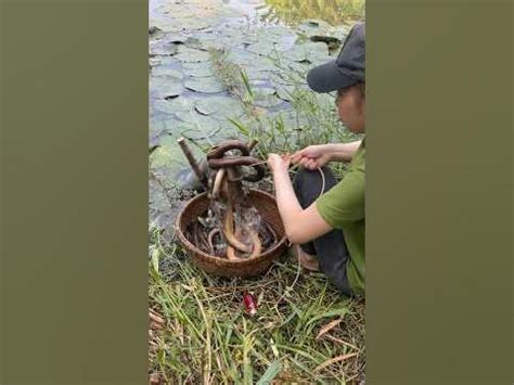 Best oil fishing with amazing primitive technology for survival skills ... - wintechmobiles.com