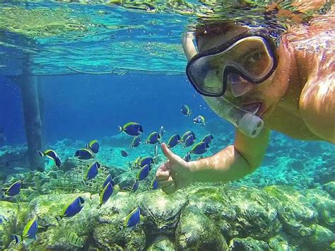 Best Places to Snorkel in Puerto Rico - Discover Puerto … - muktibox.com