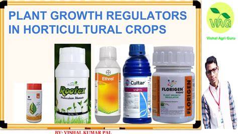 Best Plant Growth Regulator - Natural Plant Growth Hormone Regulators - raincitystudios.com