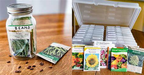 Best Practices for Collecting and Storing Seeds of Endemic Plants - raincitystudios.com