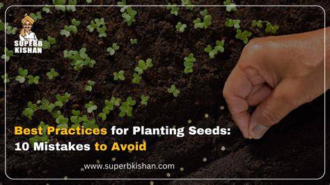 Best Practices for Collecting Seeds Through Ecosourcing - raincitystudios.com