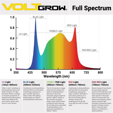 Best Practices for Light Spectrum Settings During Different Growth ... - muktibox.com