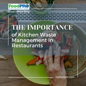 Best Practices for Restaurant Waste Disposal - raincitystudios.com