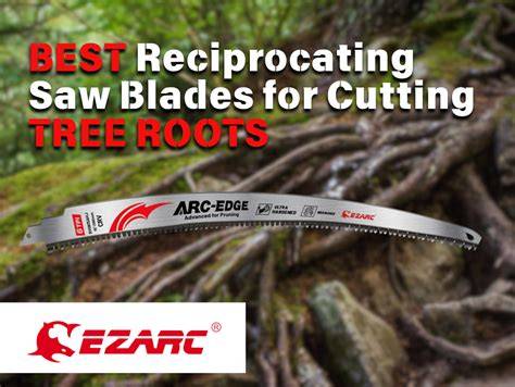 Best Reciprocating Saw Blades for Tree Roots and Pruning - raincitystudios.com