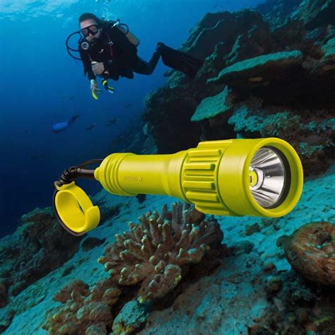 Best Scuba Diving Flashlights: Underwater … - raincitystudios.com