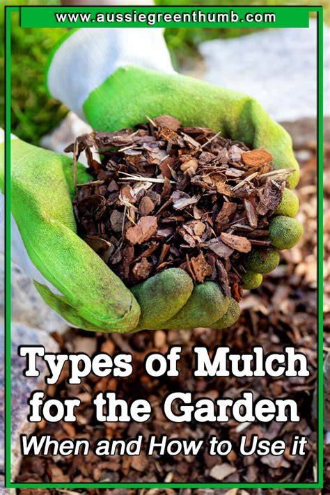 Best Types of Mulch for the Garden | Ultimate Mulch … - raincitystudios.com