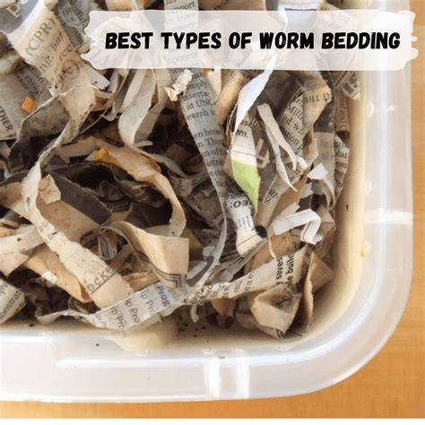 Best types of worm bedding - WormBucket - raincitystudios.com