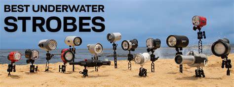 Best Underwater Lighting of 2025: Strobes & Flashes - raincitystudios.com