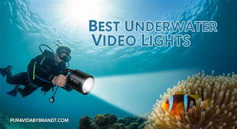 Best Underwater Video Lights - Underwater … - raincitystudios.com