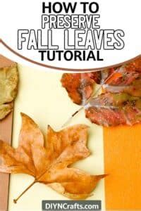 Best Ways to Preserve Fall Leaves for Year-Round Decorating - muktibox.com