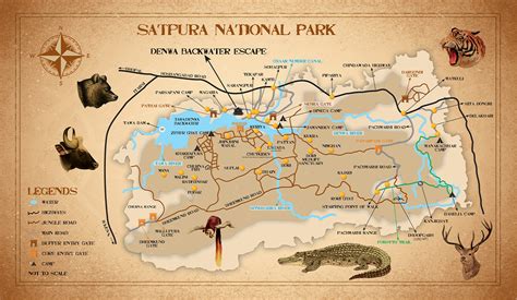 Best Zones in Satpura - Blog | satpudatigerreserve - raincitystudios.com